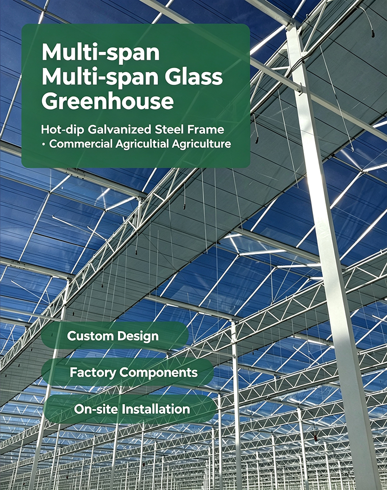 Multi-span glass greenhouse, hot dip galvanized steel frame, commercial agricultural greenhouse project